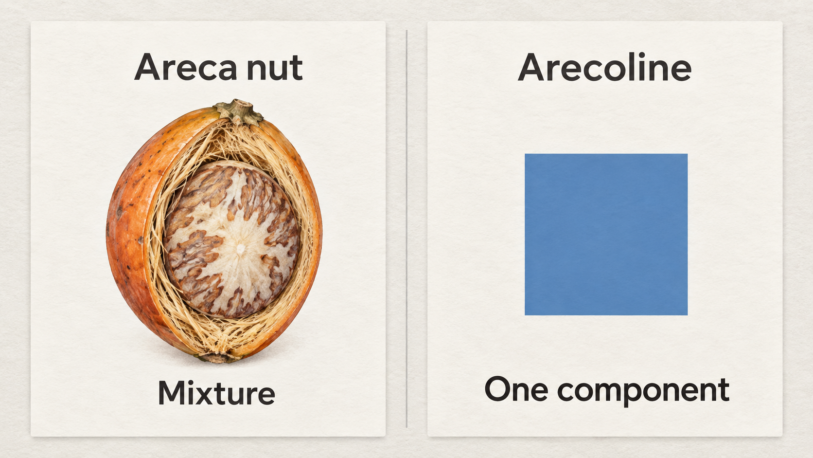 Two reference cards: Areca nut labelled Mixture, and Arecoline labelled One component with an abstract blue square.